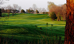 golf course sunset