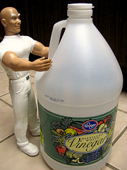 vinegar-mr-clean