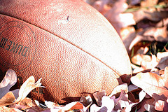 football-fall-pigskin